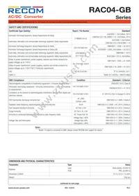 RAC04-09SGB Datasheet Page 5