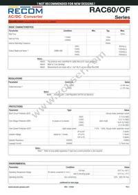 RAC60-15S/OF Datasheet Page 2