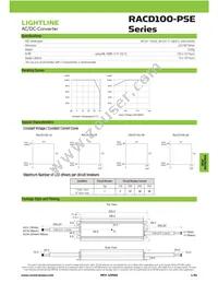 RACD100-48-PSE Datasheet Page 2