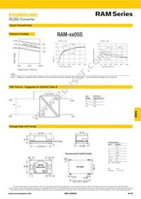RAM-2405S/H Datasheet Page 2