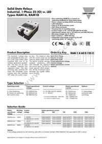 RAM1A23D25 Datasheet Cover