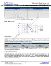 RAVS164DJT3K30 Datasheet Page 2