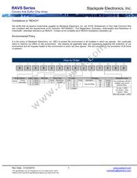 RAVS164DJT3K30 Datasheet Page 3