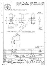 RAY1102W-745-TR Datasheet Cover