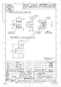 RAY1112H-75M-TR Datasheet Cover