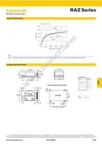 RAZ-2405S/H Datasheet Page 2