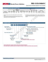 RBQ-12/33-D48NBS-C Datasheet Page 2