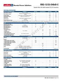 RBQ-12/33-D48NBS-C Datasheet Page 3