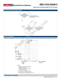 RBQ-12/33-D48NBS-C Datasheet Page 9