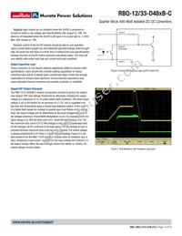 RBQ-12/33-D48NBS-C Datasheet Page 13