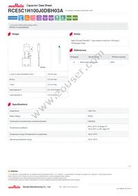 RCE5C1H100J0DBH03A Datasheet Cover