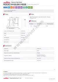 RCE5C1H102J0K1H03B Datasheet Cover