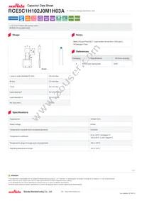 RCE5C1H102J0M1H03A Datasheet Cover