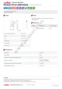 RCE5C1H121J0M1H03A Datasheet Cover