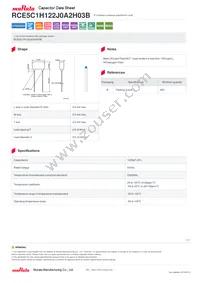 RCE5C1H122J0A2H03B Datasheet Cover