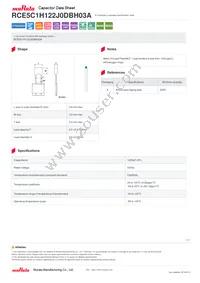 RCE5C1H122J0DBH03A Datasheet Cover