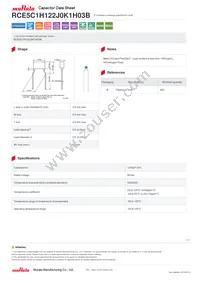 RCE5C1H122J0K1H03B Datasheet Cover