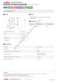 RCE5C1H1R0C0A2H03B Datasheet Cover