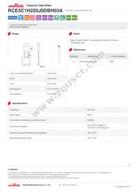 RCE5C1H220J0DBH03A Datasheet Cover