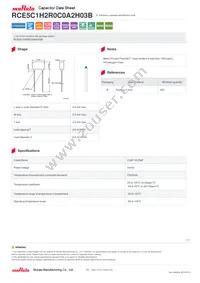 RCE5C1H2R0C0A2H03B Datasheet Cover