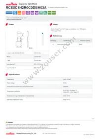 RCE5C1H2R0C0DBH03A Datasheet Cover