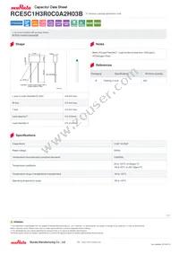 RCE5C1H3R0C0A2H03B Datasheet Cover