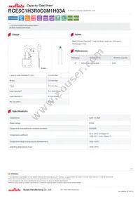 RCE5C1H3R0C0M1H03A Datasheet Cover