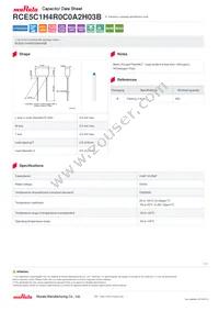 RCE5C1H4R0C0A2H03B Datasheet Cover