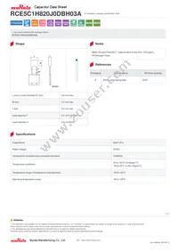 RCE5C1H820J0DBH03A Datasheet Cover