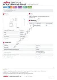 RCE5C1H822J1DBH03A Datasheet Cover