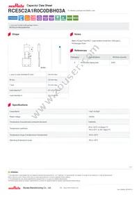 RCE5C2A1R0C0DBH03A Datasheet Cover