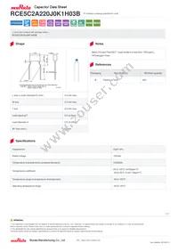 RCE5C2A220J0K1H03B Datasheet Cover