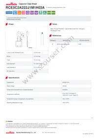 RCE5C2A222J1M1H03A Datasheet Cover