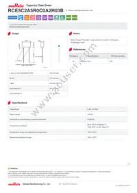 RCE5C2A5R0C0A2H03B Datasheet Cover