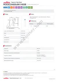 RCE5C2A820J0K1H03B Datasheet Cover