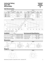 RCI003D24V Datasheet Page 2