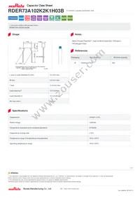 RDER73A102K2K1H03B Datasheet Cover