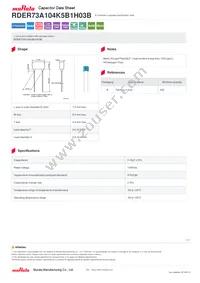 RDER73A104K5B1H03B Datasheet Cover