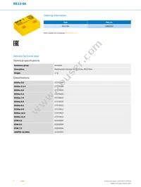 RE13-SK Datasheet Page 2