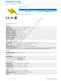 RE300-DA03P Datasheet Page 2