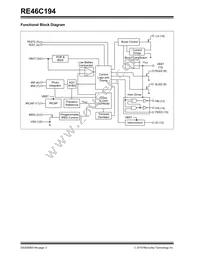 RE46C194S16T Datasheet Page 2