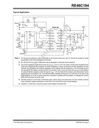 RE46C194S16T Datasheet Page 3