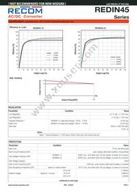 REDIN45-12 Datasheet Page 2