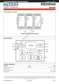 REDIN45-12 Datasheet Page 6