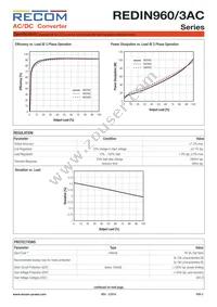 REDIN960-24/3AC Datasheet Page 2