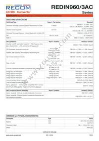 REDIN960-24/3AC Datasheet Page 4