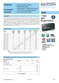 REM1-243.3S Datasheet Cover