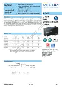 REM2-0505S Datasheet Cover