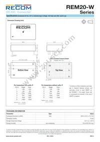 REM20-4805DW/P Datasheet Page 8