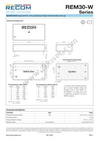 REM30-4805DW/P Datasheet Page 8